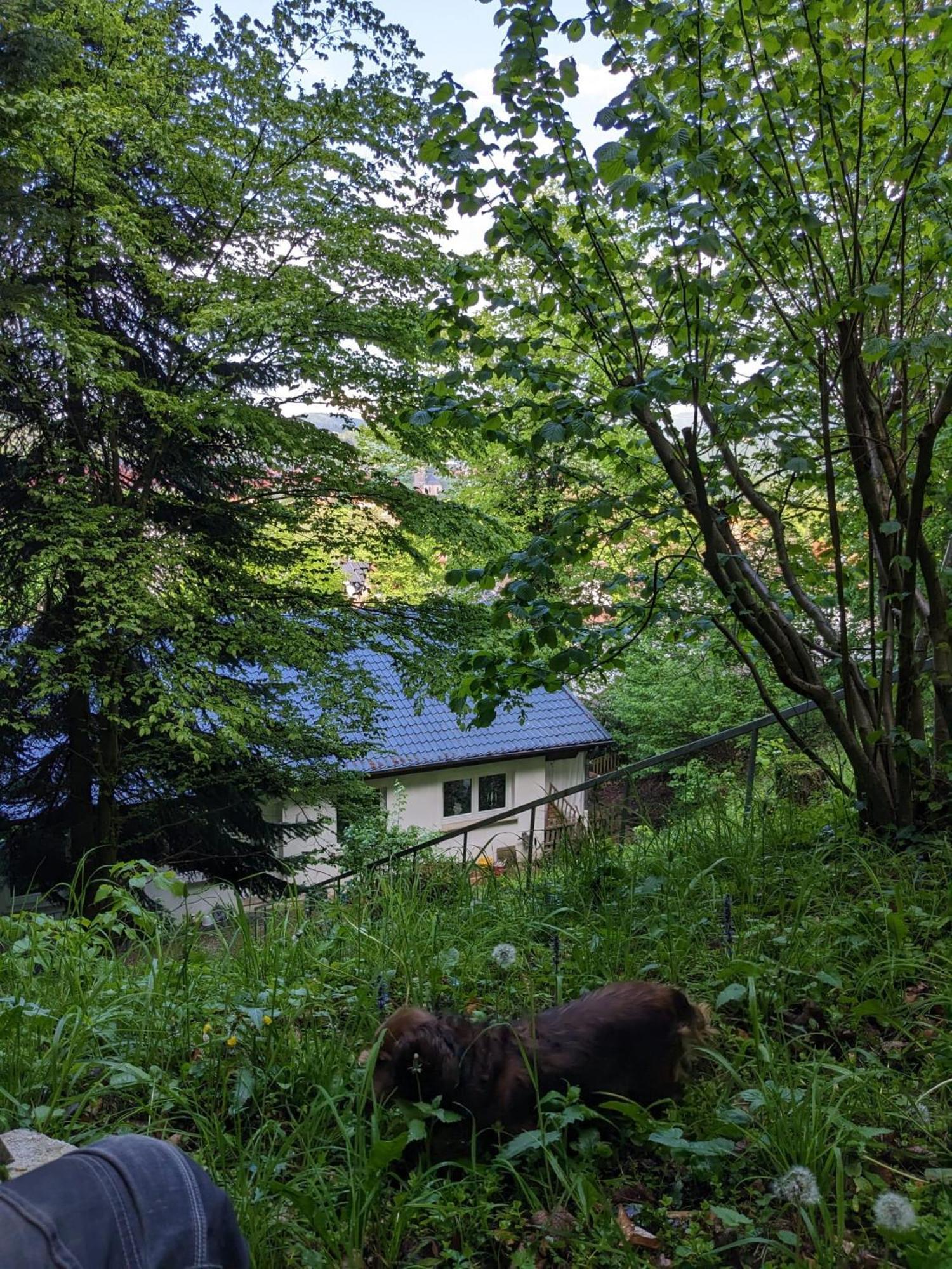 Ferienwohnung Bad Sooden- Allendorf 외부 사진